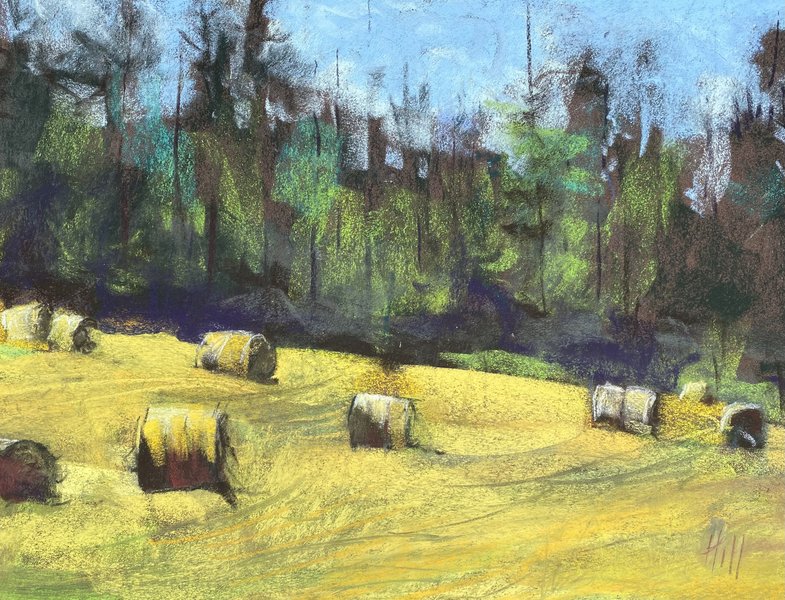Sweetbrier in Full Summer Light